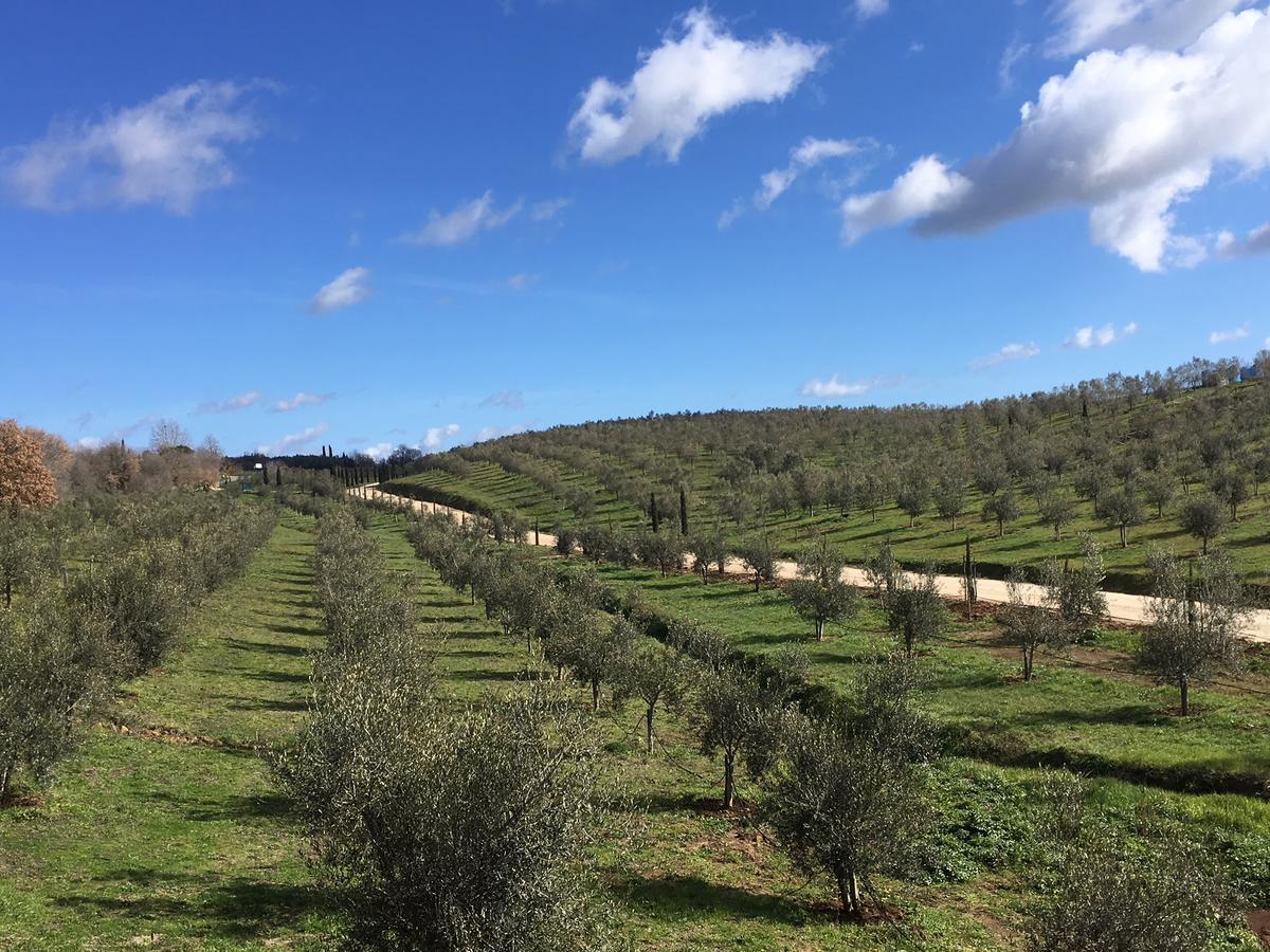 Il Podere Di Marfisa Farnese 外观 照片